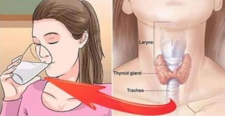 Овој популарен пијалак ја уништува вашата тироидна жлезда- дали редовно го пиете