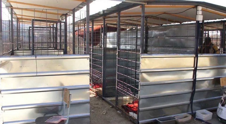 Штипскиот стационар затворен поради топлотни удари на животните, „Анима мунди“ бара кривична одговорност