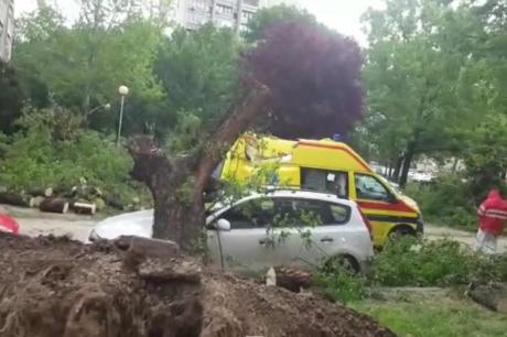 Возило на Брза помош смачкано од огромно дрво: Интервенирале пожарникари и полиција (ВИДЕО)