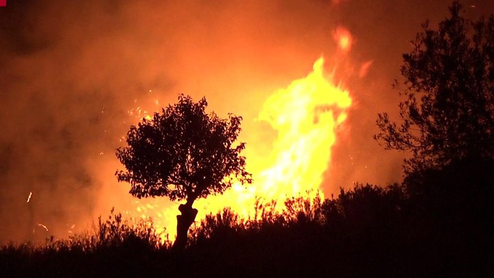 Локализиран шумскиот пожар во Каталонија