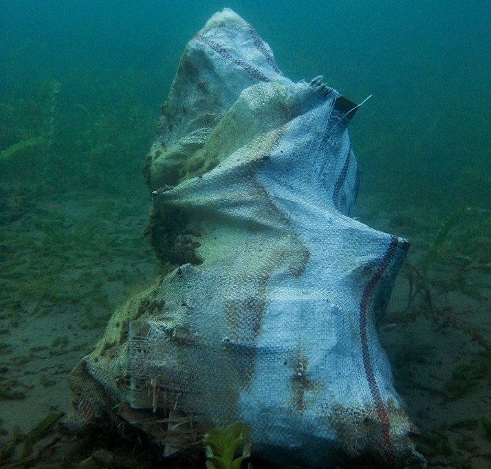 По кадата, пронајдени и плочките од реновирањето на дното на Охридско езеро