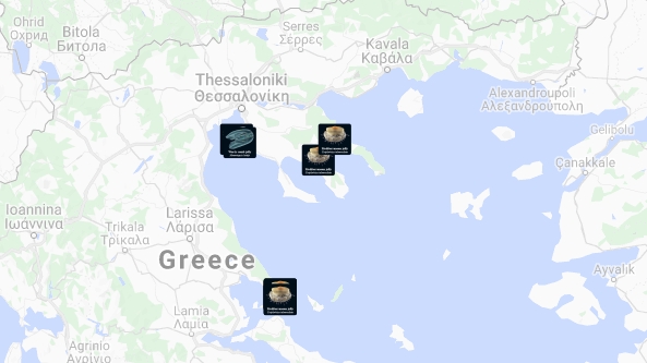 Внимавајте периодов ако сте таму: Ова е мапа на плажите во Грција каде се појавиле медузи