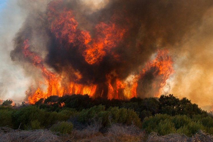 Десет часа траел страшниот пожар кај езерото „Младост“, направена е штета од еден ипол милион евра