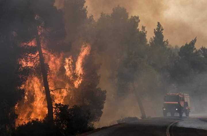 Голем пожар во Грција – се приближува кон куќите, се врши евакуација