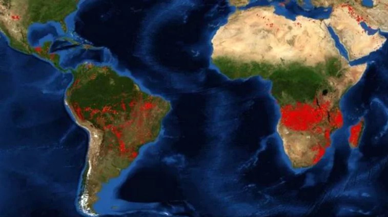 Во Африка беснеат три пати повеќе пожари отколку во Амазон: Еве зошто за нив никој не зборува!