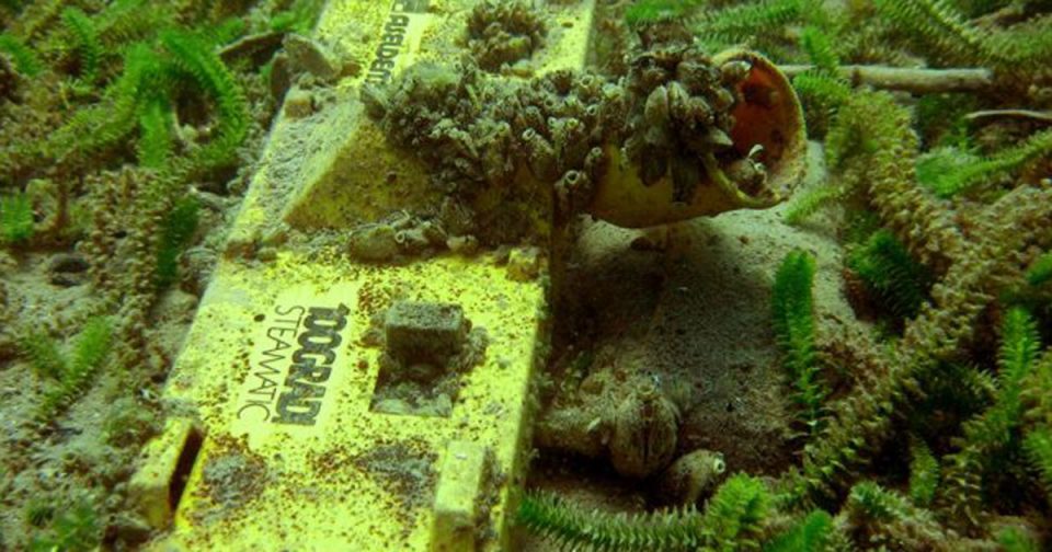 Нови пронајдоци во Охридско езеро: Подводниот „апартман“ доби правосмукалка и перална (ФОТО)