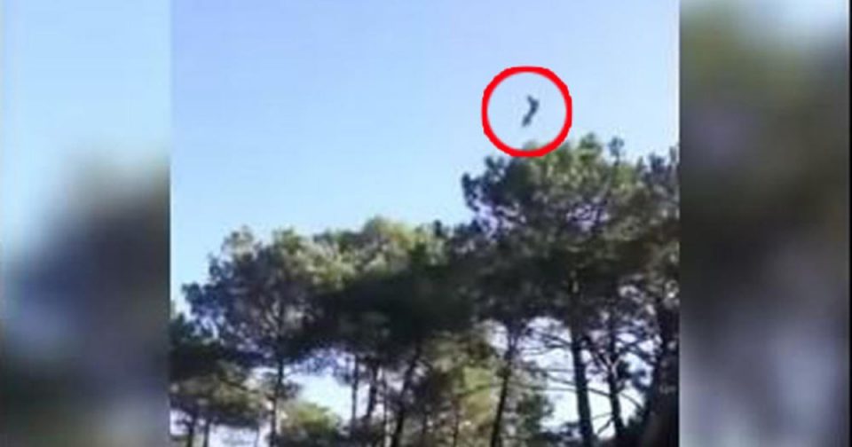 Авион паднал од голема висина, пилотот скокнал за да се спаси, а потоа се тргнало наопаку- еве како е спасен пилотот кој висеше на далновод