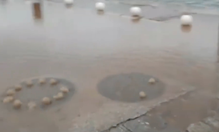 ВИДЕО: Фекалии го преплавија Охрид