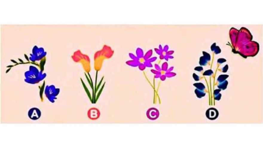 На кој цвет ќе слета пеперутката? Вашиот одговор одредува какви сте во врската