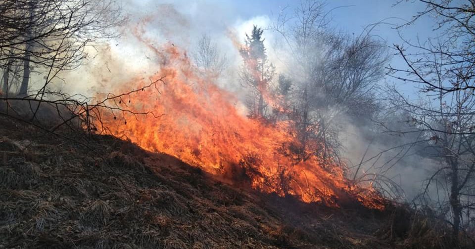 Во пожар кај Струмица изгореа комбајн, земјоделска механизација и овоштарник