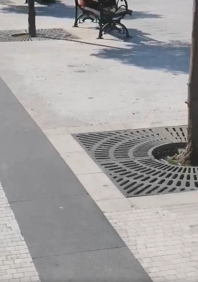 Топлото време им прави проблеми на граѓаните: Змија се шета на плоштадот Македонија среде бел ден (ВИДЕО)