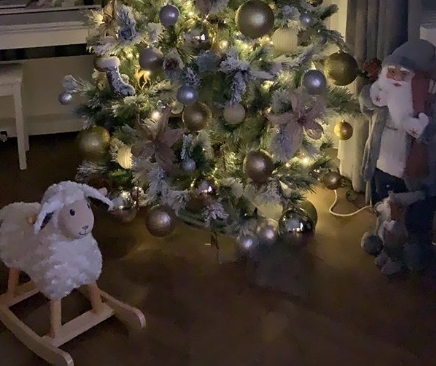 Како од бајките: Кога ќе видите каква новогодишна елка имаат во домот Александра Пријовиќ и Филип ќе останете без зборови (ФОТО)