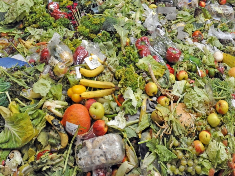 Во Австрија годишно се фрлаат околу милион тони храна, а еве колку еден Австриец просечно за една година го прави тоа