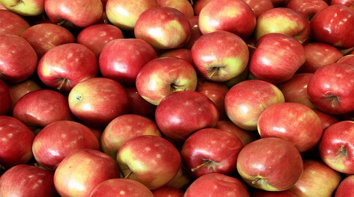 Јаболко, ореви, грав, овес, лук – ова ќе ви помогне за голем проблем со здравјето кој многумина го имаат