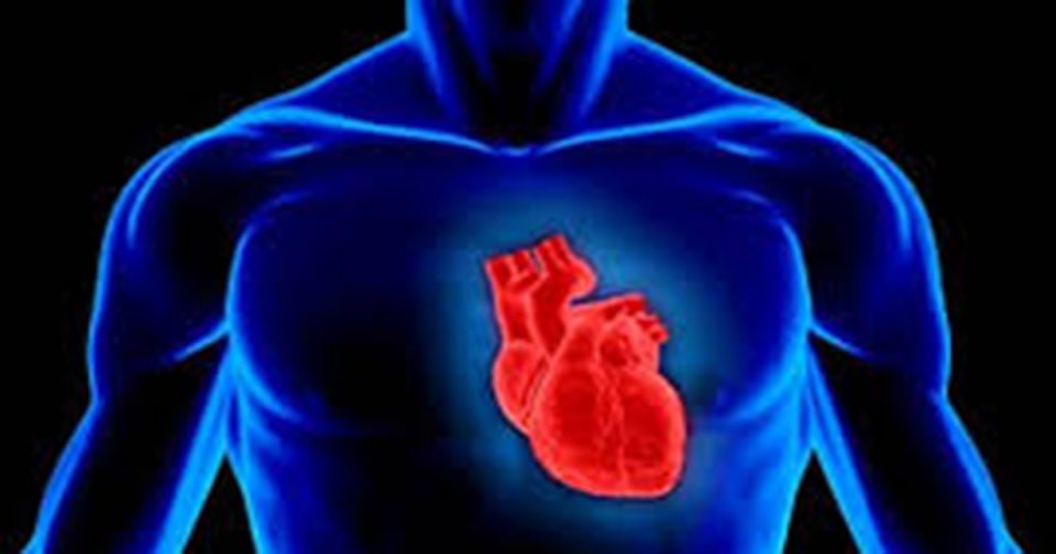 Ова мора да го знаете: Како да ги заштитите срцето и крвните садови?