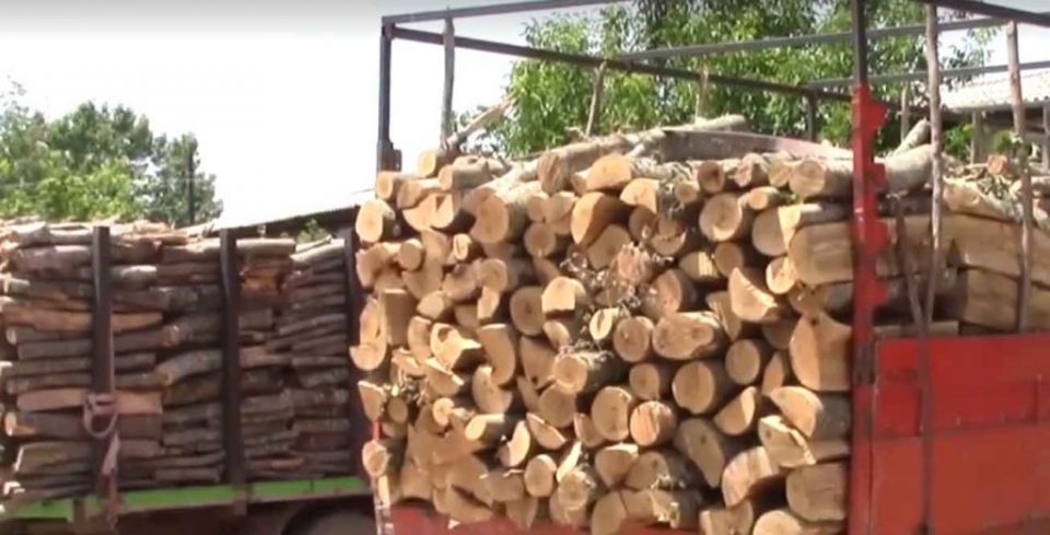 Одземени дрва без документација, ќе одговара маж од Бучим