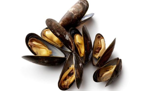 ВИДЕО: Половина милион школки пронајдени мртви на плажа во Нов Зеланд
