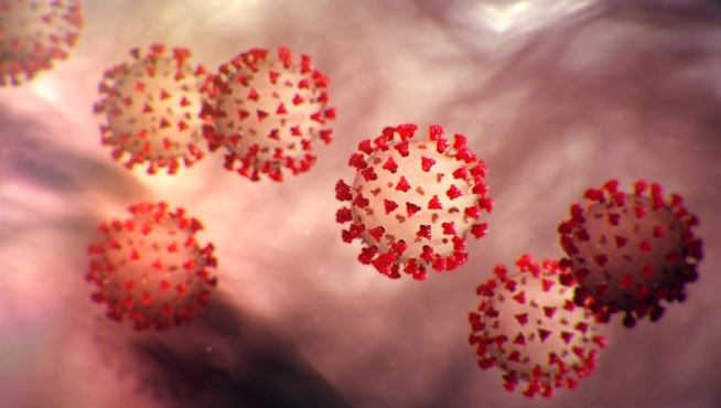 Нова мутација на коронавирусот откриена во Трст