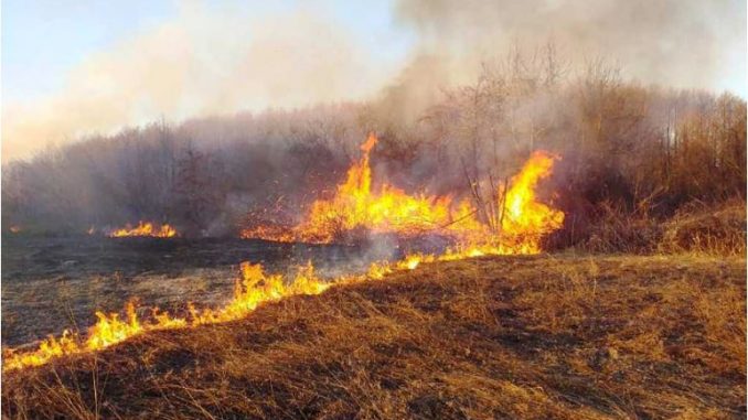 Во пожар кај Костурино изгореа два хектара сува трева и нискостеблеста шума