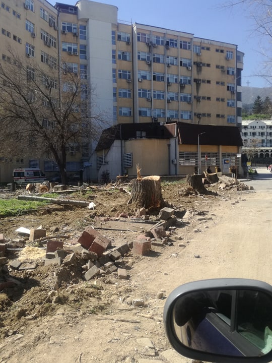 Исечени повеќегодишни дрвја во склоп на Клиничкиот центар- не се жртви на ковид-19, туку жртви на негрижата и односот кон зеленилото на оваа власт