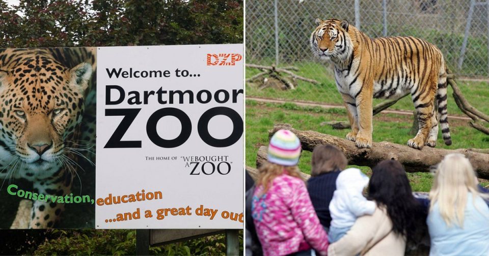 Англија: Зоолошка градина спасена благодарение на донации