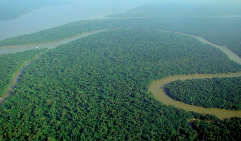 Бразилска Амазонија се бори со тешка суша, потенцијална опасност за пола милион луѓе