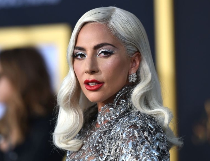 Лејди Гага не сака да ја исплати наградата од 500.000 долари за пронаоѓањето на нејзините кучиња