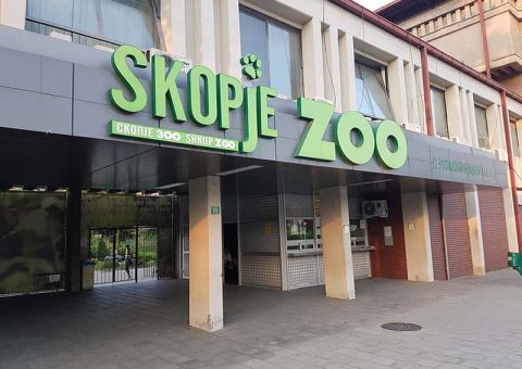Најстара на Балканот: Зоолошката градина Скопје утре прославува 97 години постоење