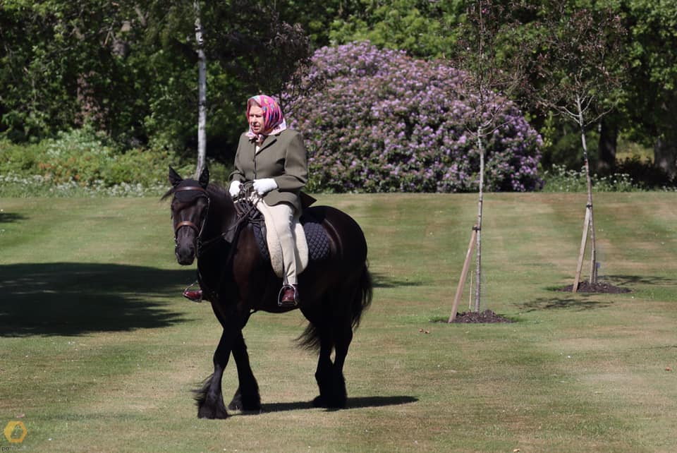 ФОТО: Кралицата повторно сликана на пони во паркот во Виндзор