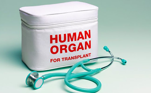 Пациентите со трансплантирани бубрези се во добра здравствена состојба