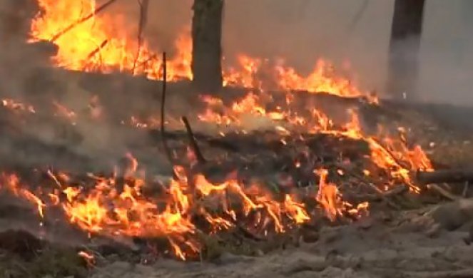 Уништени белите дробови на планетата: За 24 часа во Амазонија се забележани повеќе од 1.000 пожари (ВИДЕО)