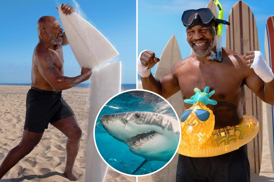 Мајк Тајсон VS ајкули – во три рунди