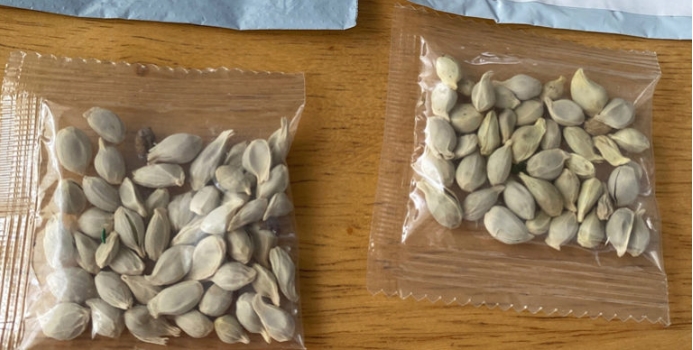 Полска: Пакетите со кинески семиња можат да се сметаат за биотероризам
