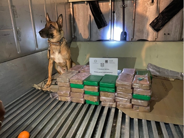 Со помош на куче трагач откриени се 70 килограми кокаин во контејнер со банани во Грција