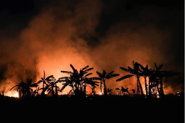 Зголемен ризик од пожари во Амазонската прашума