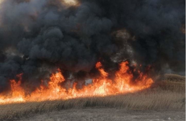 Активен пожарот во непристапниот предел на село Пресница, липковско