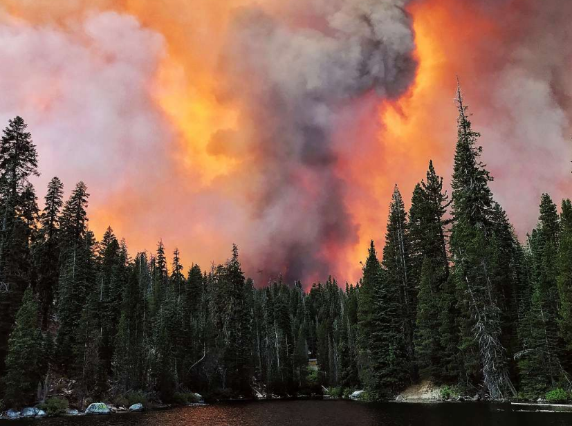 Од пожар во Националната шума „Сиера“во Калифорнија спасени над 200 лица