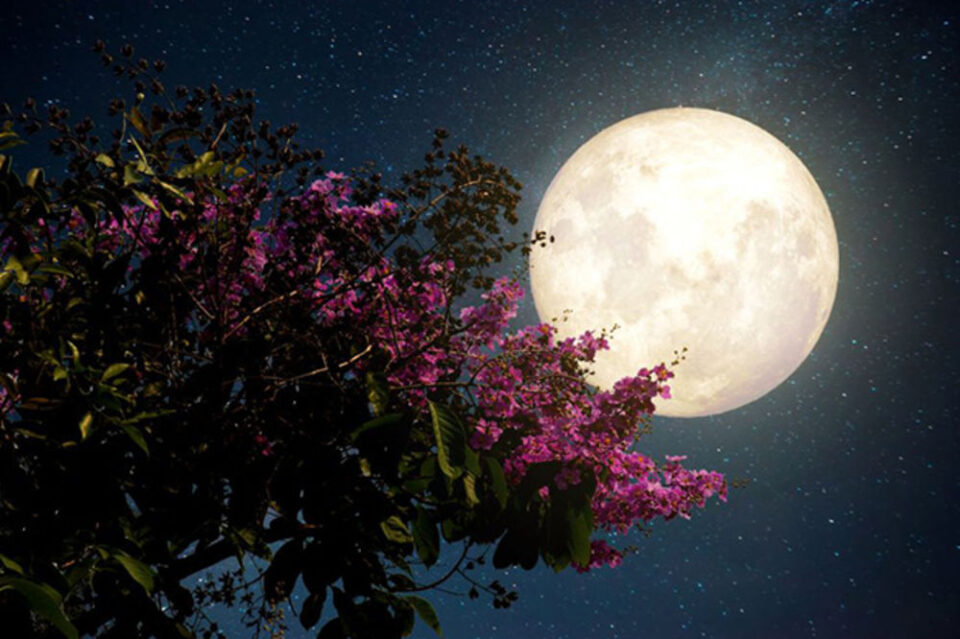 Четири хороскопски знаци најмногу ќе го почувствуваат влијанието на полната месечина- денес внимавајте на овие работи