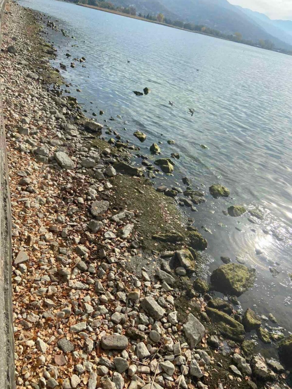 Oд Охридско Езеро исчезнаа 208 милијарди литри бистра вода –  ХЕ „Глобочица“ и „Шпилје“ целосно го запреа производството на струја