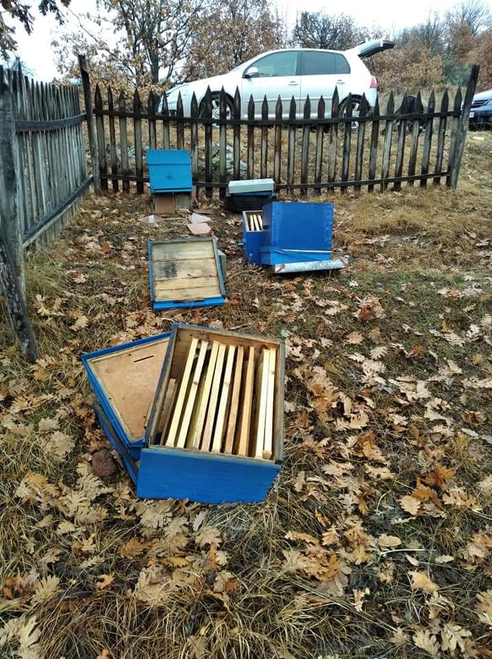 Уништени кошници со пчели во делчевското село Бигла