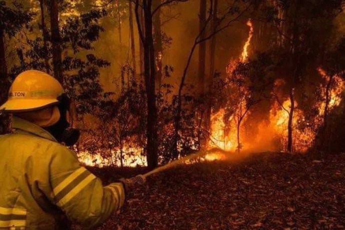 Пожар во Националниот парк „Маврово“