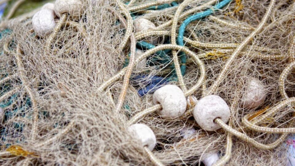 Во Преспанско Езеро пронајдени 25 рибарски мрежи со улов на крап со тежина од околу 23 килограми
