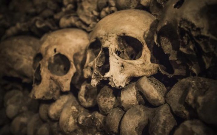 Во Струмица пронајдени остатоци од два черепи и коски