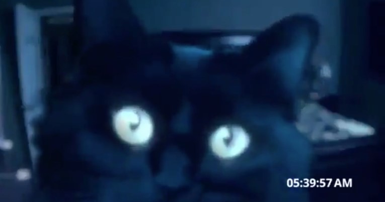 Камера снимила што прави мачка среде ноќ во спалната соба на нејзините сопственици – ќе се насмеете до солзи (ВИДЕО)
