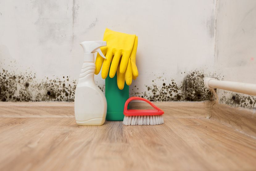 Четири ефикасни и ефтини рецепти за отстранување на мувла и влага: Нека вашиот дом замириса убаво