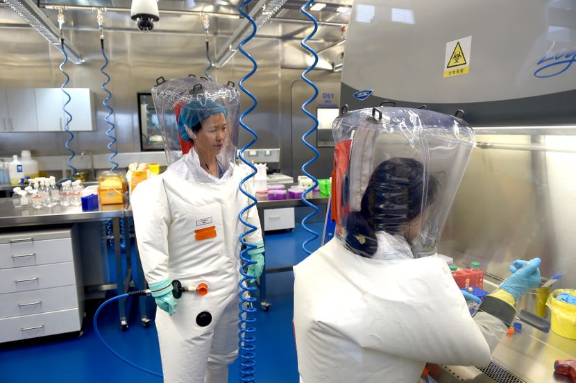 Се огласи научник од Вухан по повод тврдењето дека коронавирусот потекнува од нивната лабараторија