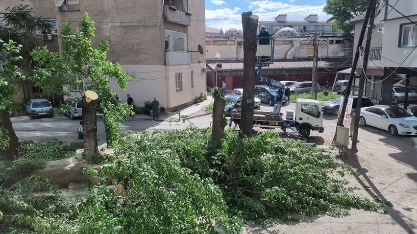 Масакр на дрва во Чаир: Ветуваа зеленила, донесоа пустош (ФОТО)