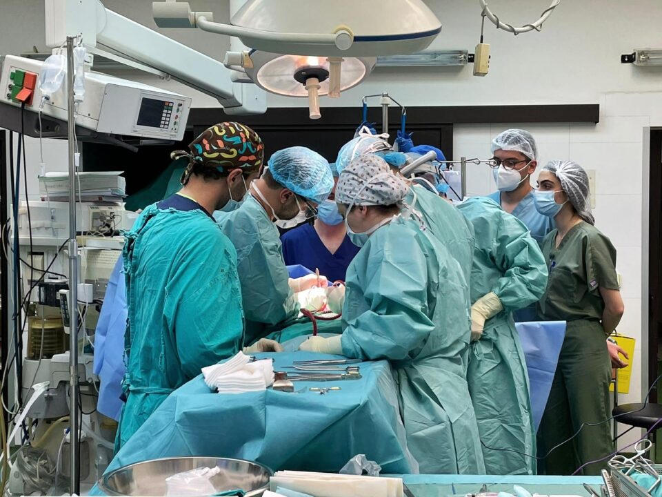 Хуманост во најтешки моменти: За една година трансплантирани четири срца и 10 бубрези