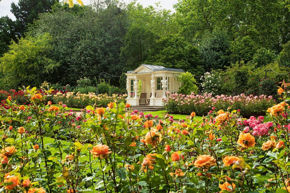 Градините на Бакингемската палата отворени за посетители