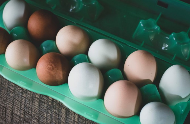 Дали знаете: Која е разликата помеѓу белите и кафените јајца?